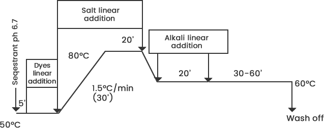 Process Graph